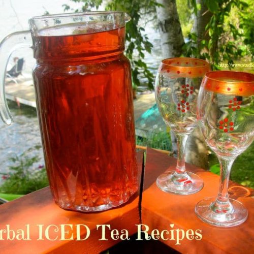 Easy Herbal Iced Tea Recipes Studio Botanica