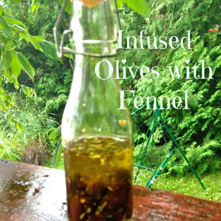Fennel Infused Olives Recipe Studio Botanica