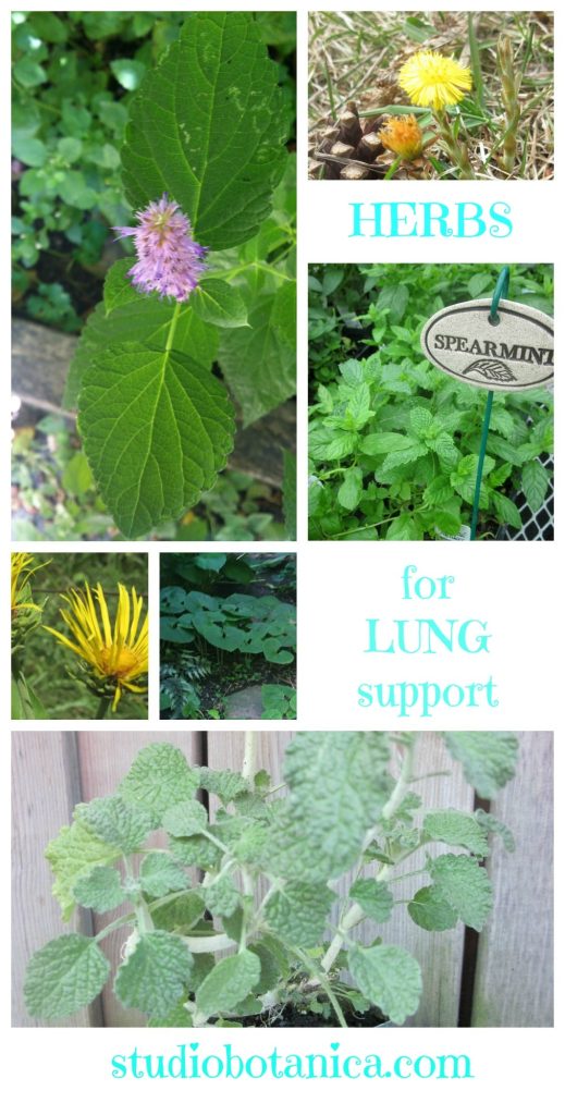 LungSupportVertSB