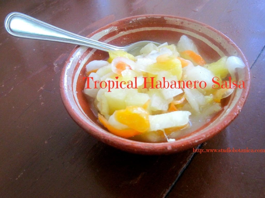 TropicalHabaneroSalsaFB