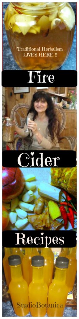 Fire Cider Recipes
