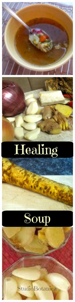 Healing Soup