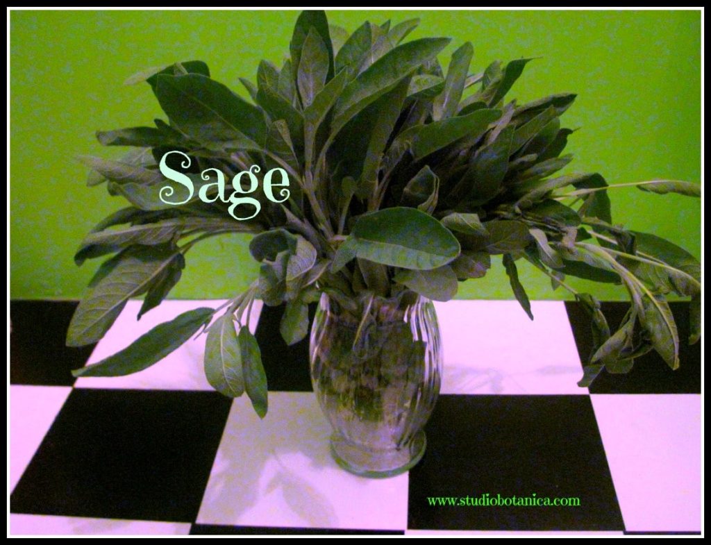 SageBouquet