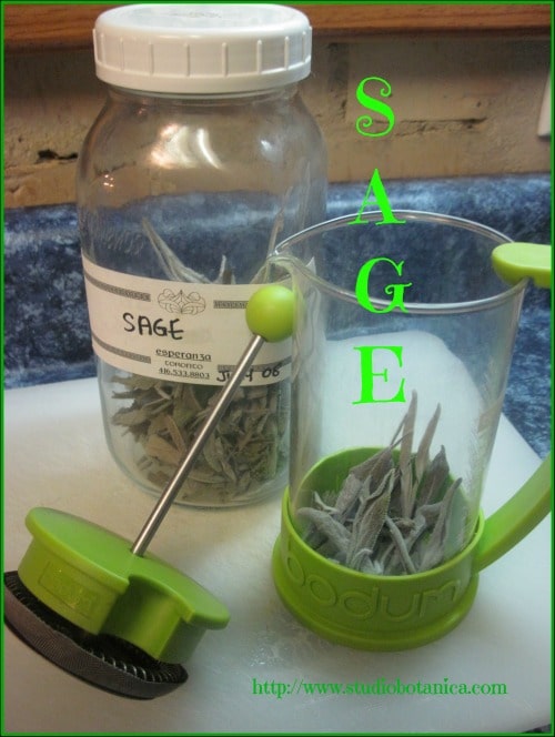 Sage tea sore throat remedy