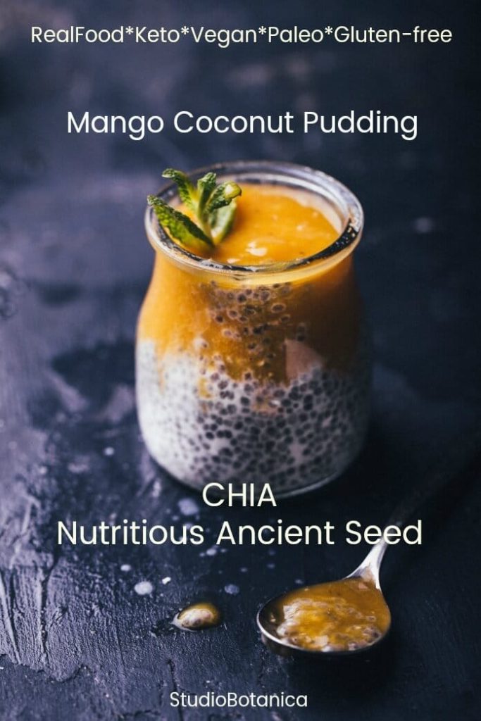 Mango Coconut Chia Pudding Chia Nutritious Ancient Seed