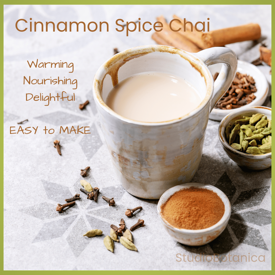 Cinnamon Spice Chai Recipe - Studio Botanica
