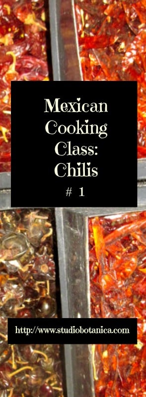 ChilisMexCookingClass1