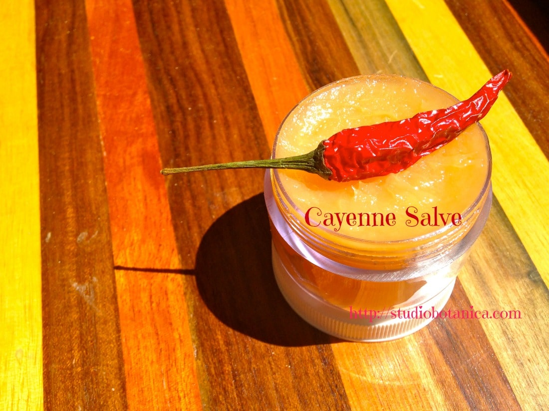Healing Hot Cayenne Salve Studio Botanica