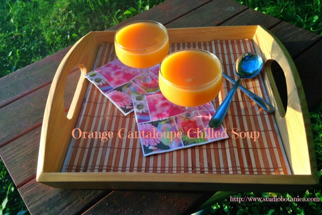Cold Soups Orange Cantaloupe 1100