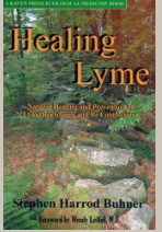 Healing Lyme