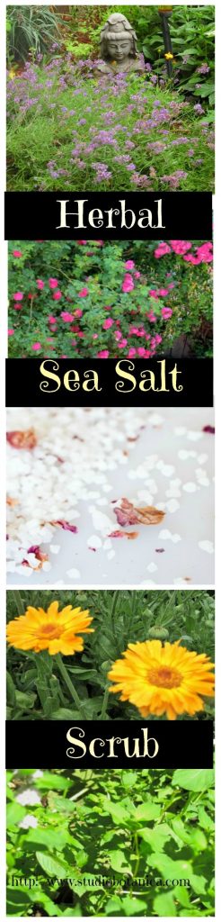Herbal Sea Salt Scrub