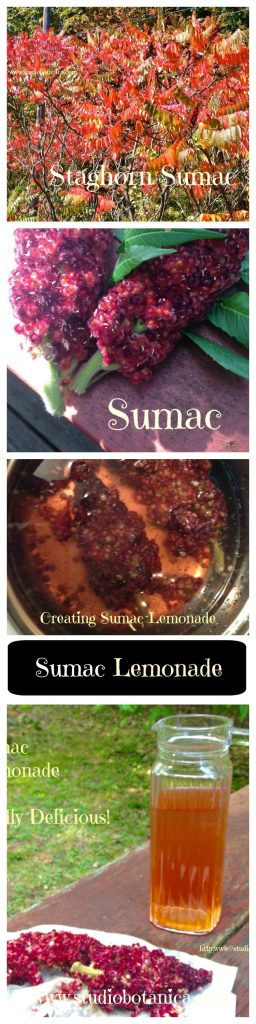 Sumac Lemonade