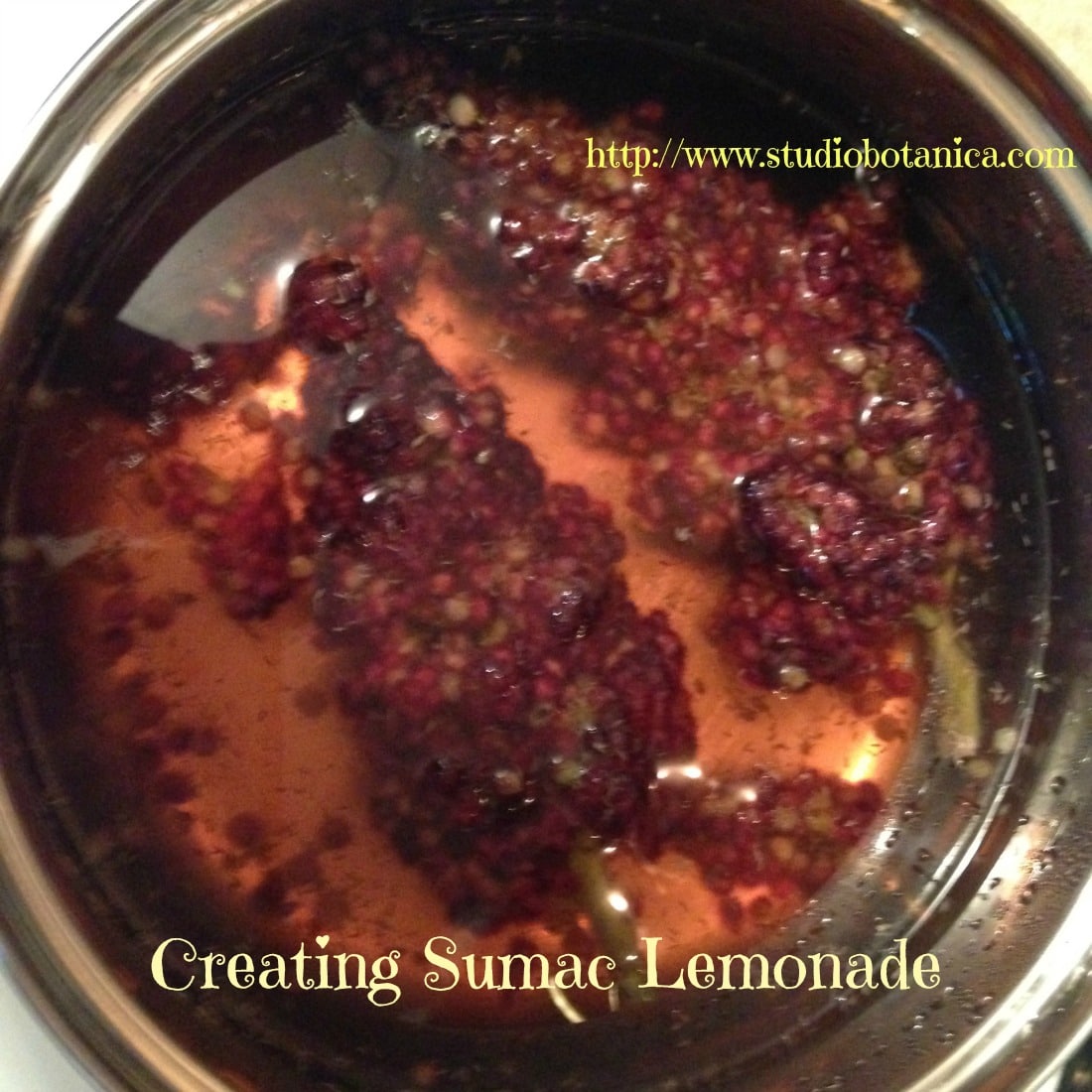 Wildly Delicious Sumac Lemonade Studio Botanica