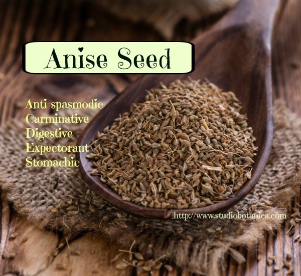 Anise