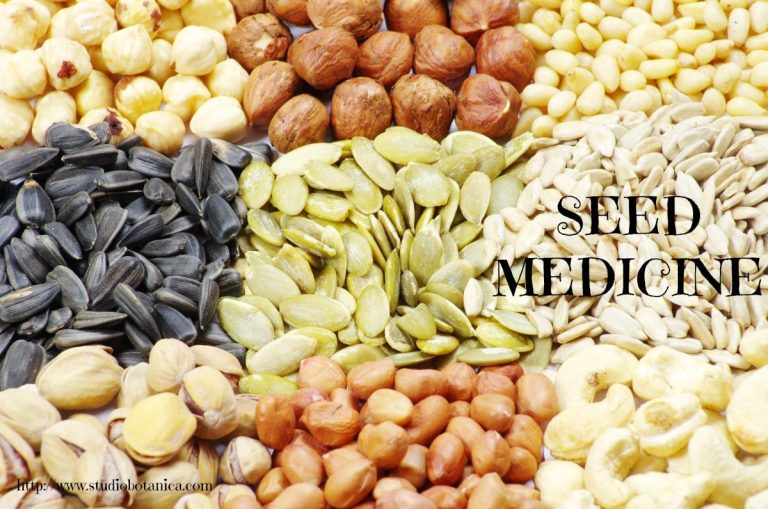 Seed Medicine for best health! Studio Botanica