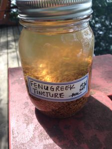 Fenugreek Medicine Tincture