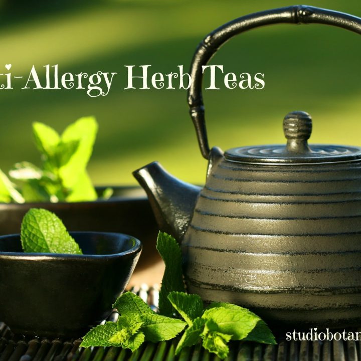 Anti-Allergy Herb Tea