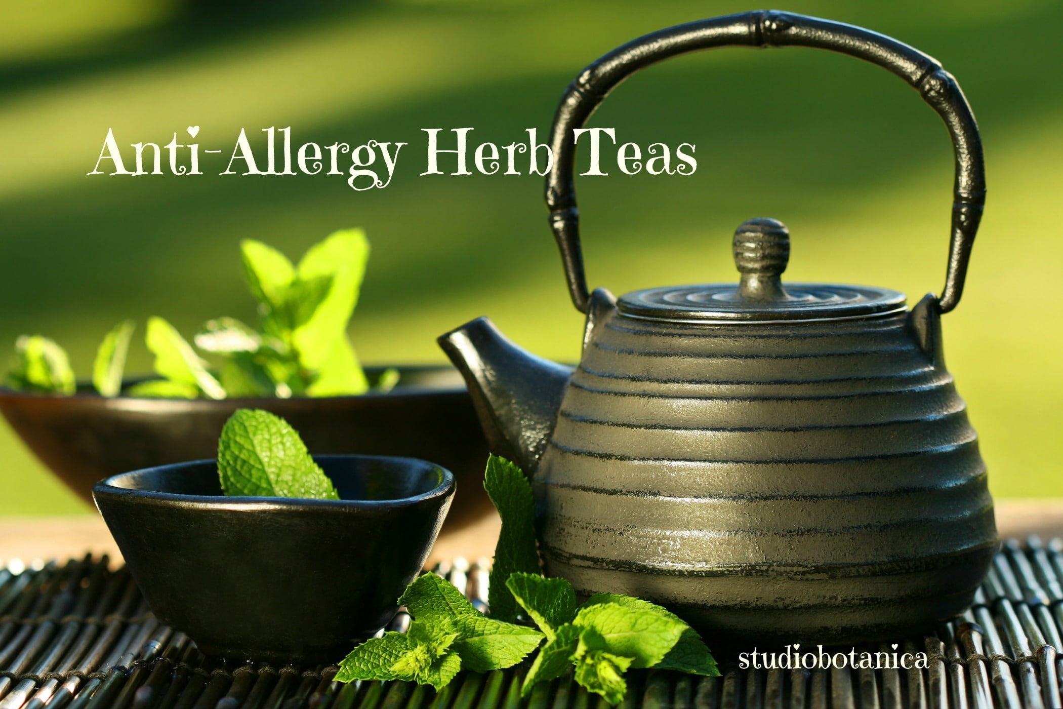Enjoy AntiAllergy Herb Teas new habits to start now Studio Botanica