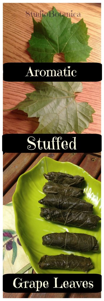 Stuffed Grape Leaves