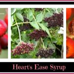 Heart's Ease Syrup