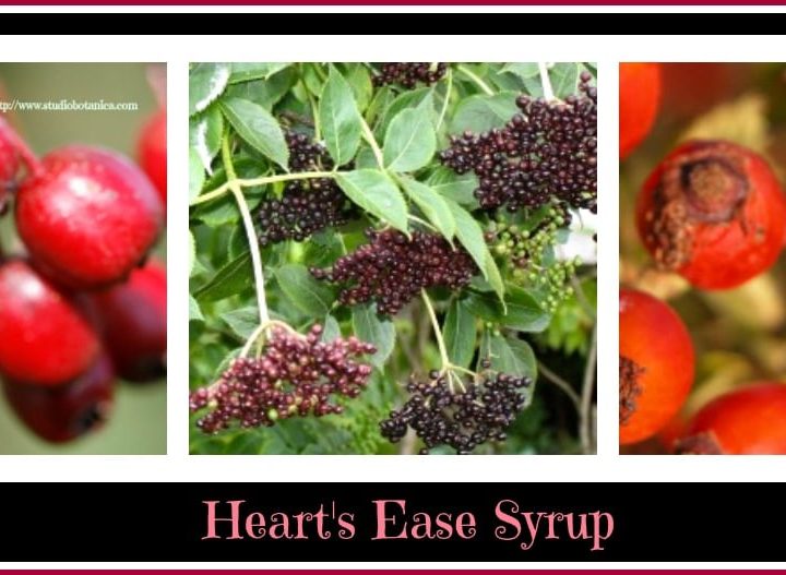 Heart's Ease Syrup