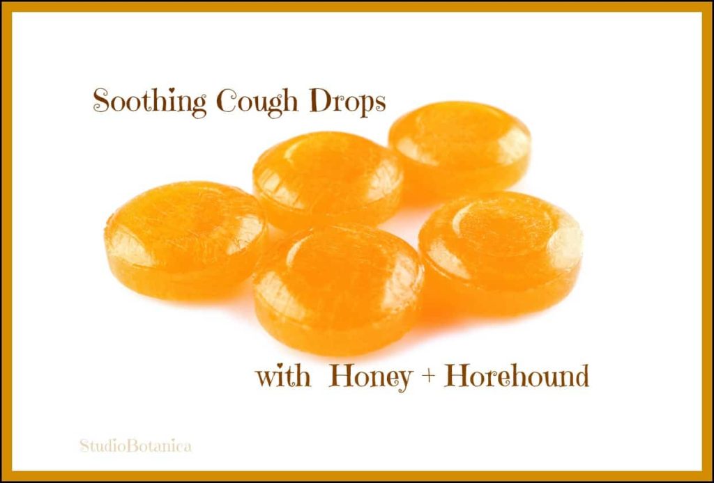 Easy Herbal Cough Drops you will want to make! Studio Botanica