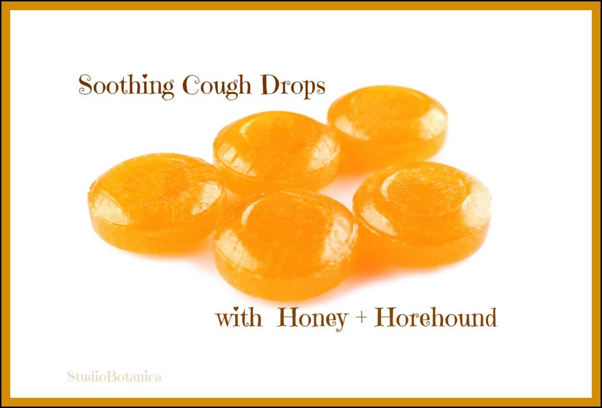 Easy Herbal Cough Drops you will want to make! Studio Botanica