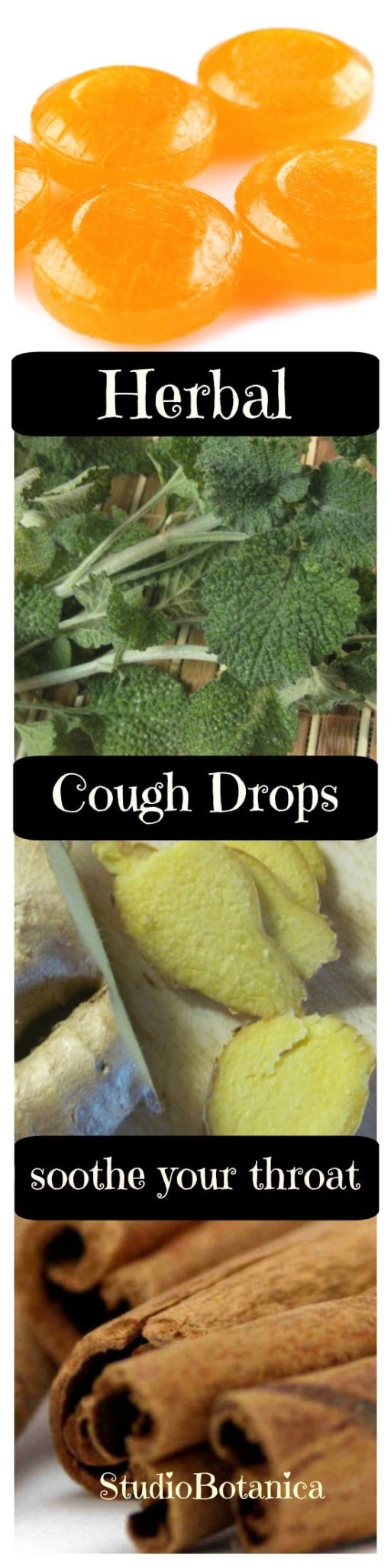 Easy Herbal Cough Drops you will want to make! Studio Botanica