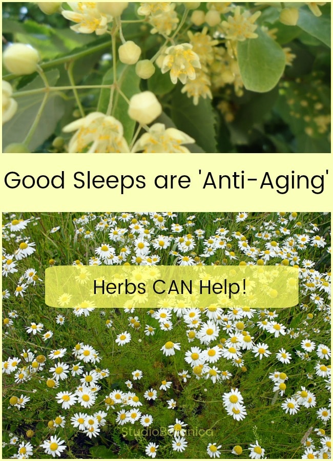 Good Sleeps are Anti Aging