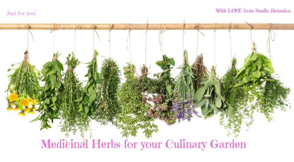 I Never Promised You an Herb Garden: 6 Green Scents for Summer - The New  York Times