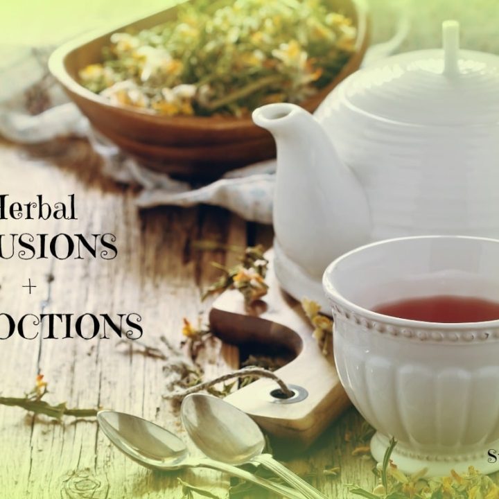 Herbal Infusions + Decoctions