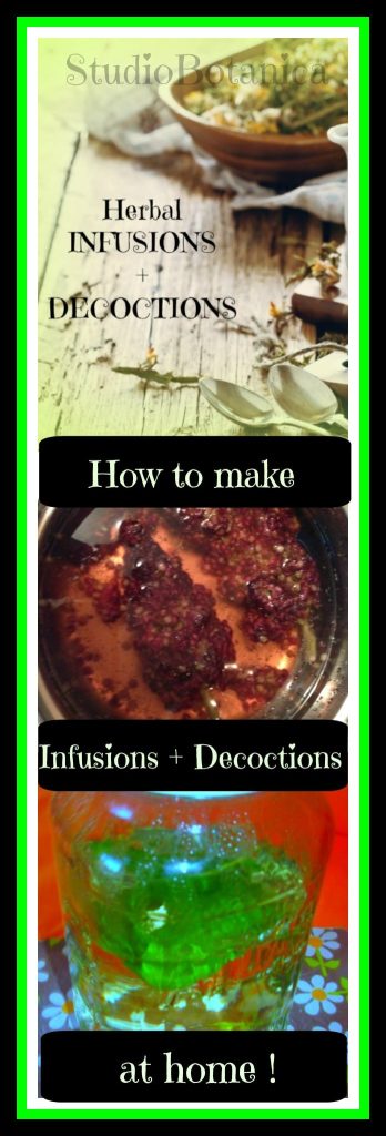 Understanding Herbal Infusions Plus 3 Delicious Recipes - The