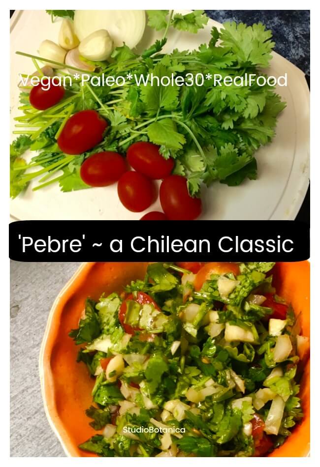 Pebre Classic from Chile