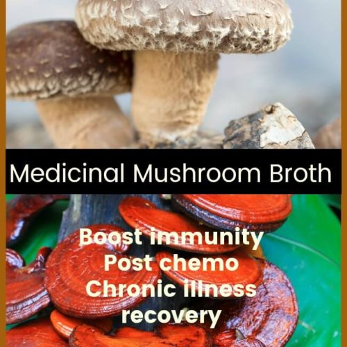 Medicinal Mushrooms Healing Broth Studio Botanica