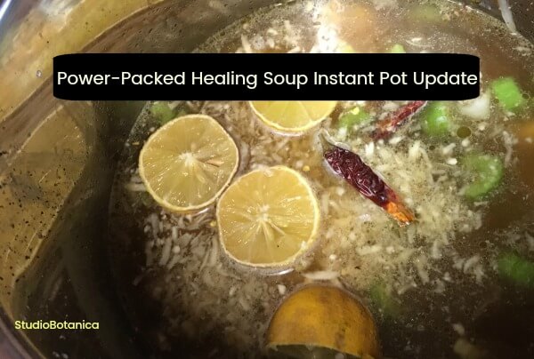 Instant Pot Healing Soup