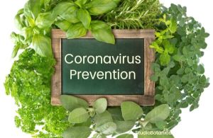 coronavirus prevention and herbal support coronavirus