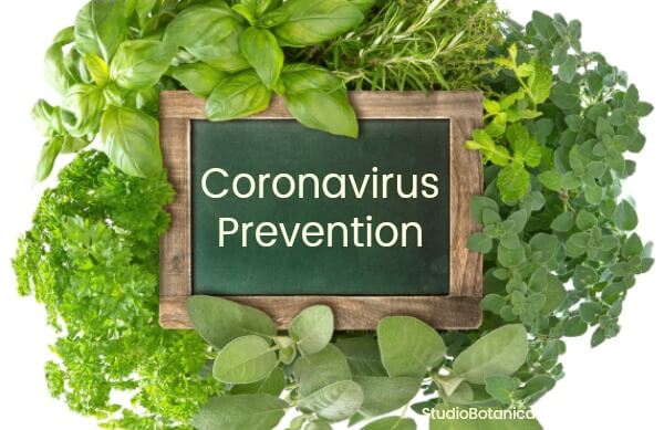 coronavirus prevention