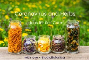 Herbal Support coronavirus