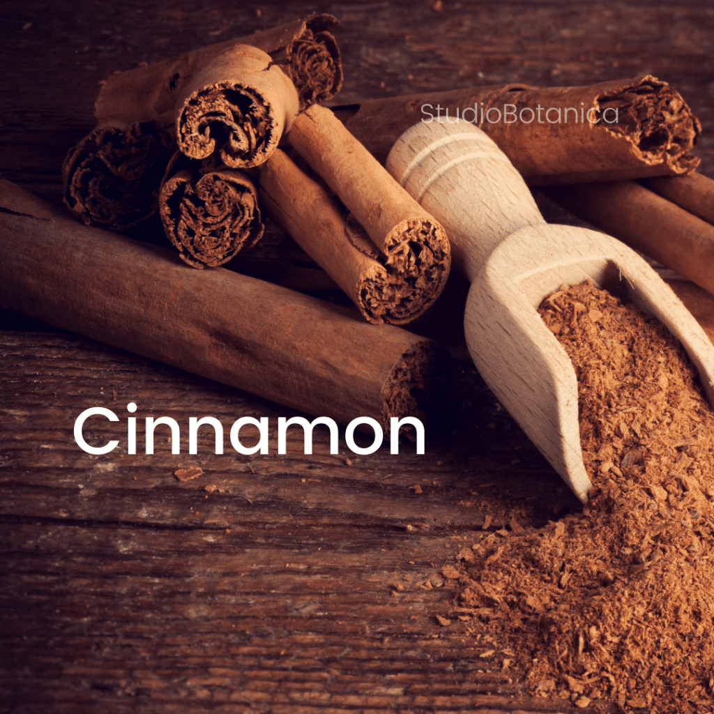 Cinnamon Spice Chai