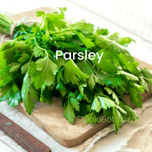 Parsley sq