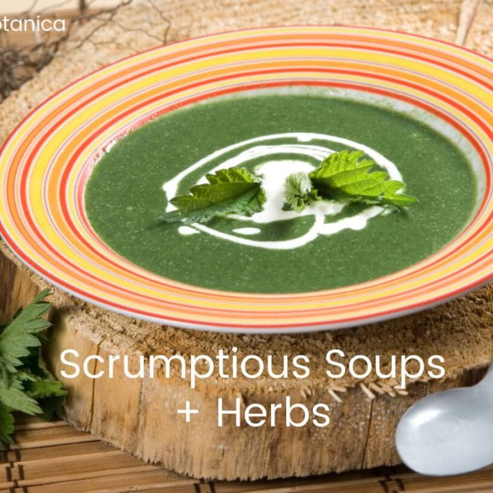 Scrumptious Soups + Herbs