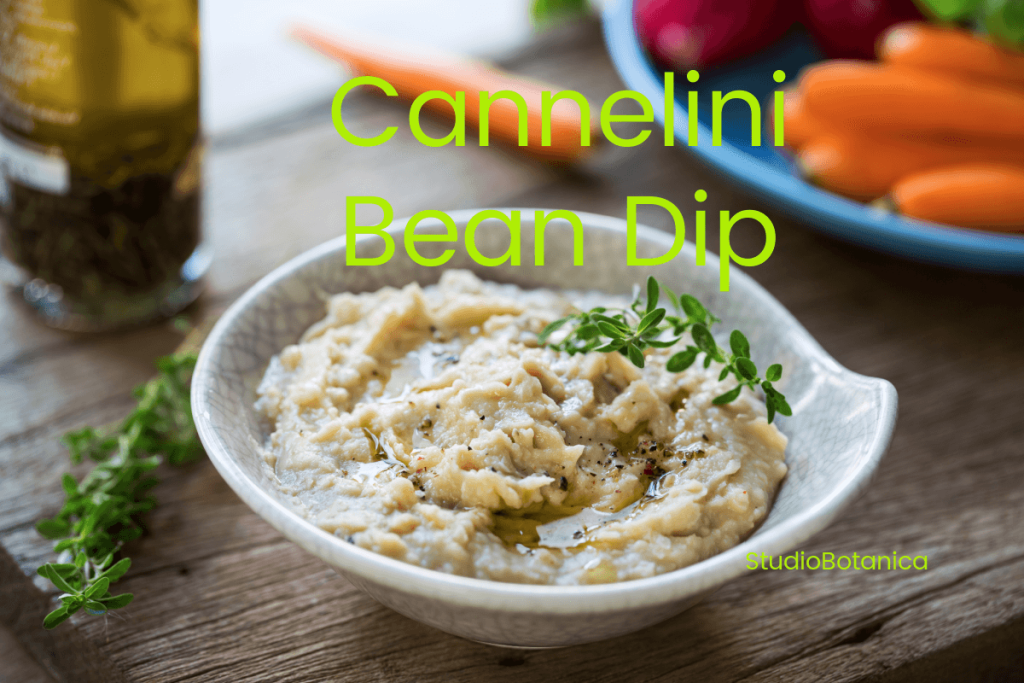 White Bean Dip with herbs using herbs from the garden