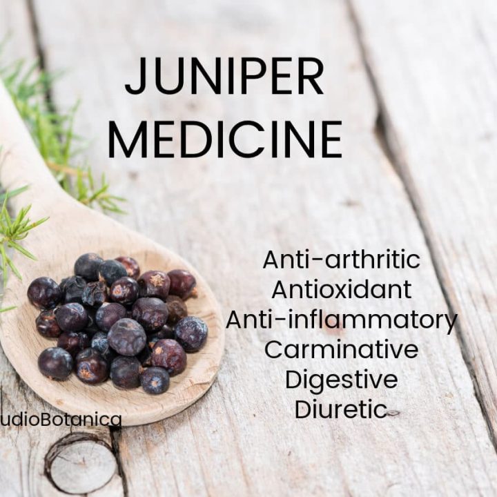 Juniper Medicine