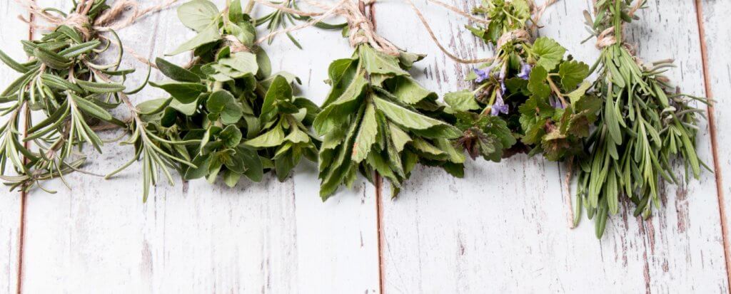 Drying Herbs are a great way to Preserve herbs for winter