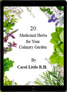 iPad Cover Photo of 20MedicinalHerbs E-Book of Studiobotanica