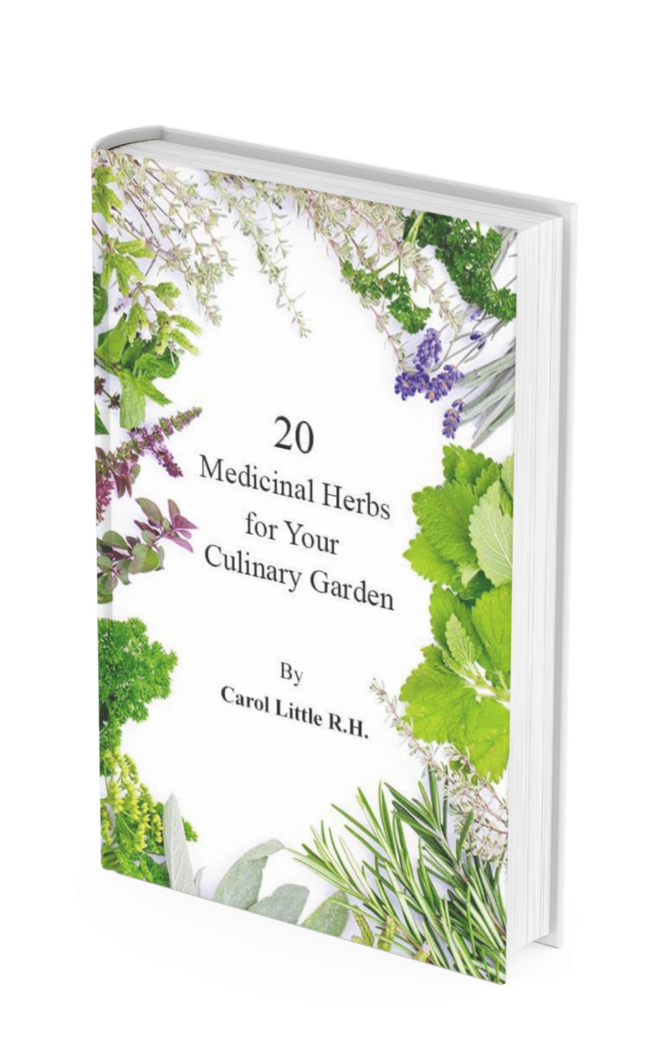 Medicinal Herbs for your Culinary Garden Studio Botanica