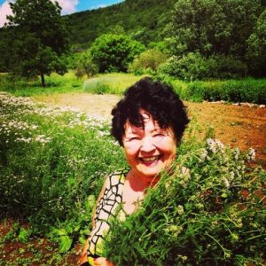 Herb Gals ~ Community herbal studies Yarrow!