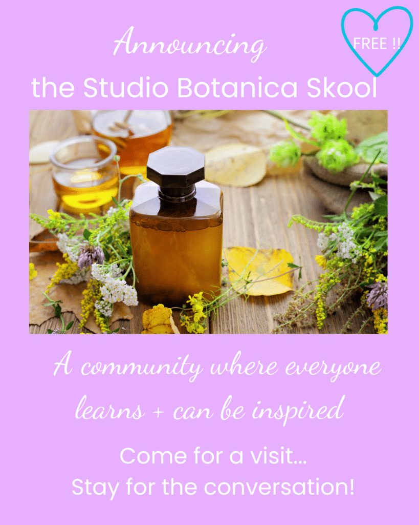 Skool opt-in graphic