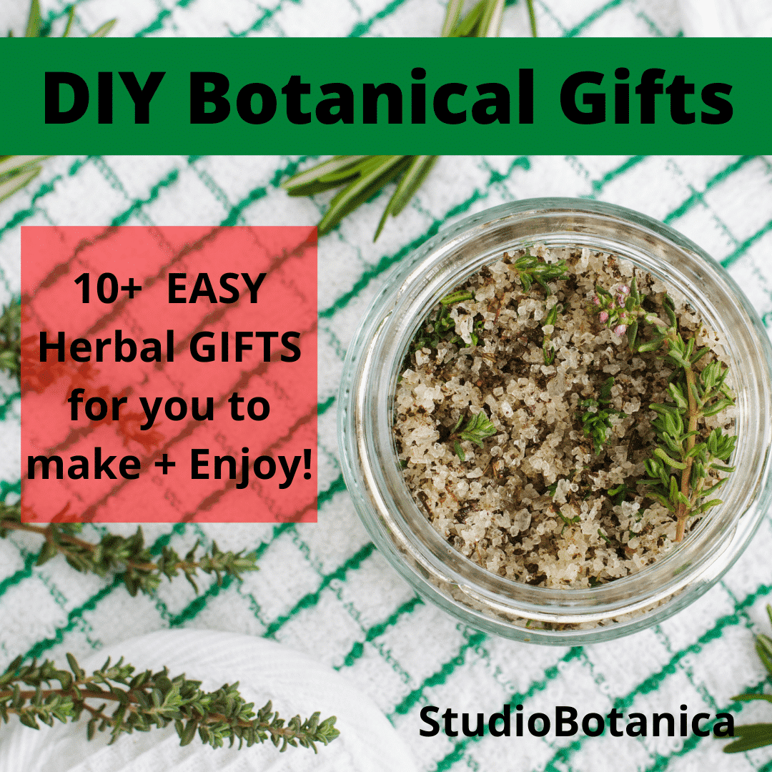 DIY Herbal Gifts 10 + EASY ideas just for you! Studio Botanica