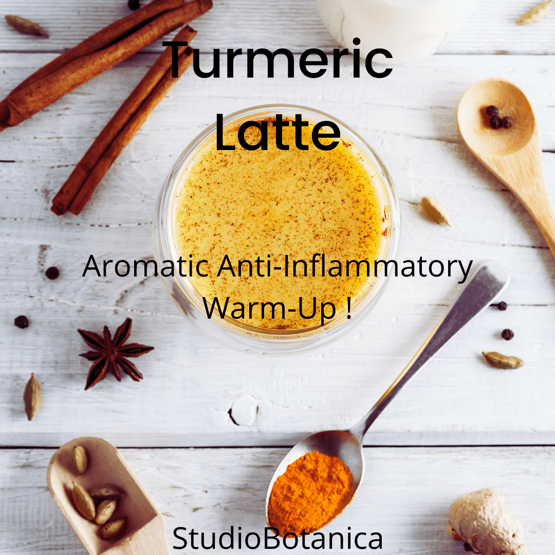 Aromatic Turmeric Latte with Coconut Milk antiinflammatory warmup